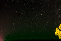 startrails